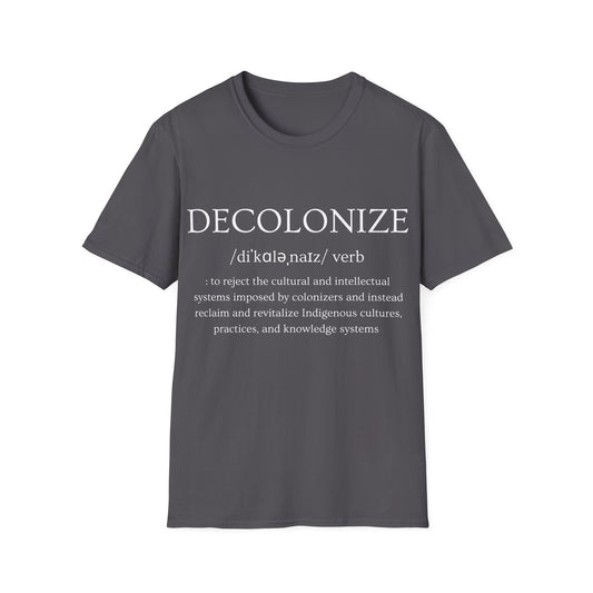 Decolonize Definition T-Shirt